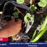 Explosão de cor e alegria: Escola celebra a chegada da Primavera