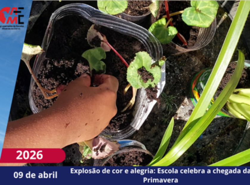 NotíciasAvisos 2526(76)