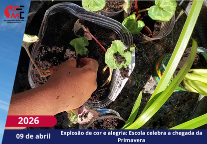 NotíciasAvisos 2526(76)