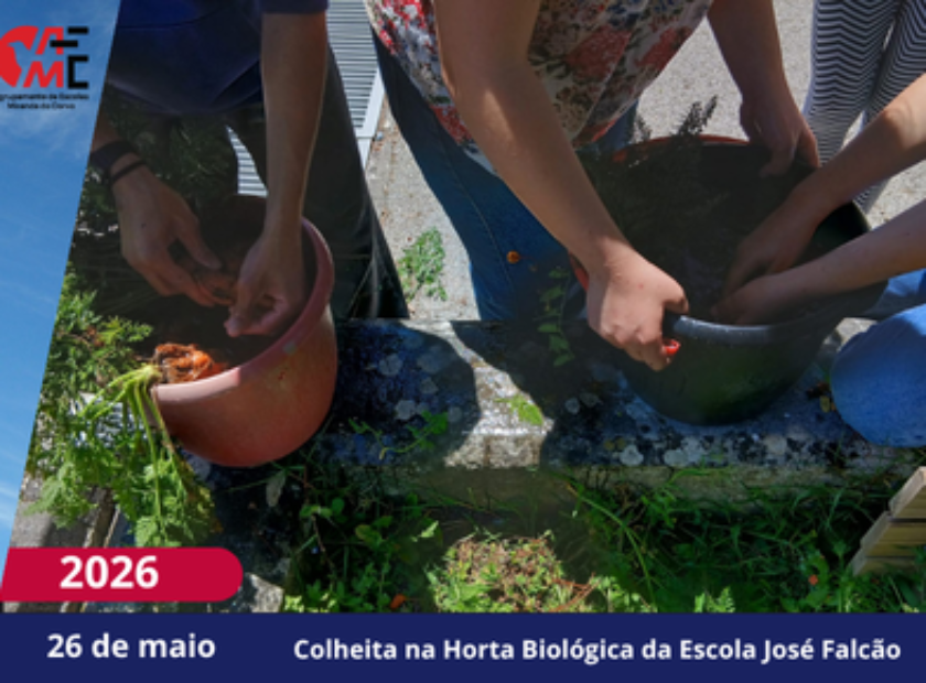 NotíciasAvisos 2526(113)