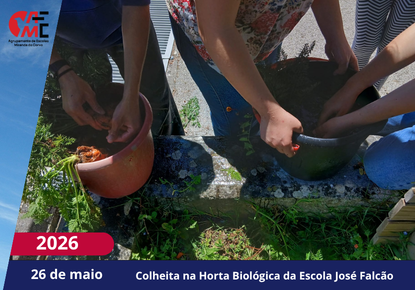 NotíciasAvisos 2526(113)