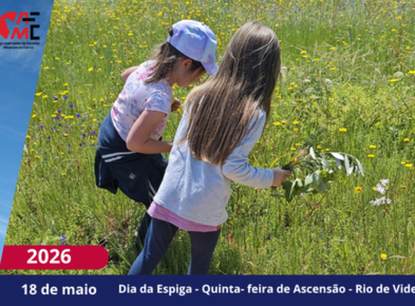 NotíciasAvisos 2526(97)