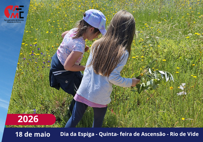 NotíciasAvisos 2526(97)
