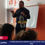 A importância das abelhas aos mais novos: Uma aula doce e vital